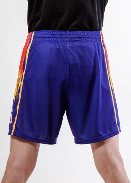 Волейбольные шорты мужские VOL-AMS-01-SUBL