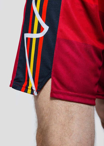 Баскетбольные шорты мужские BSK-AS07-SUBL